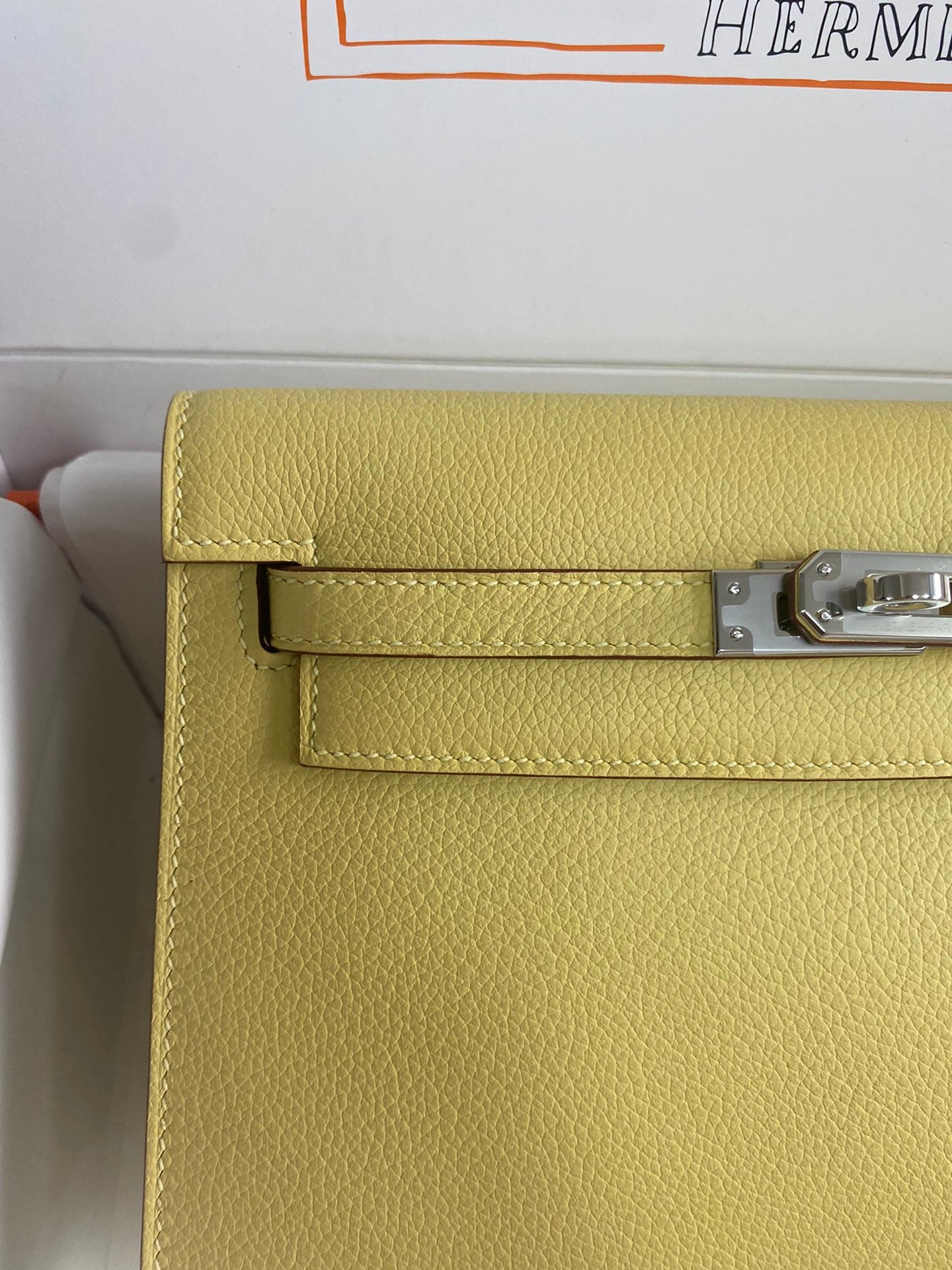 Kelly danse-evercolor