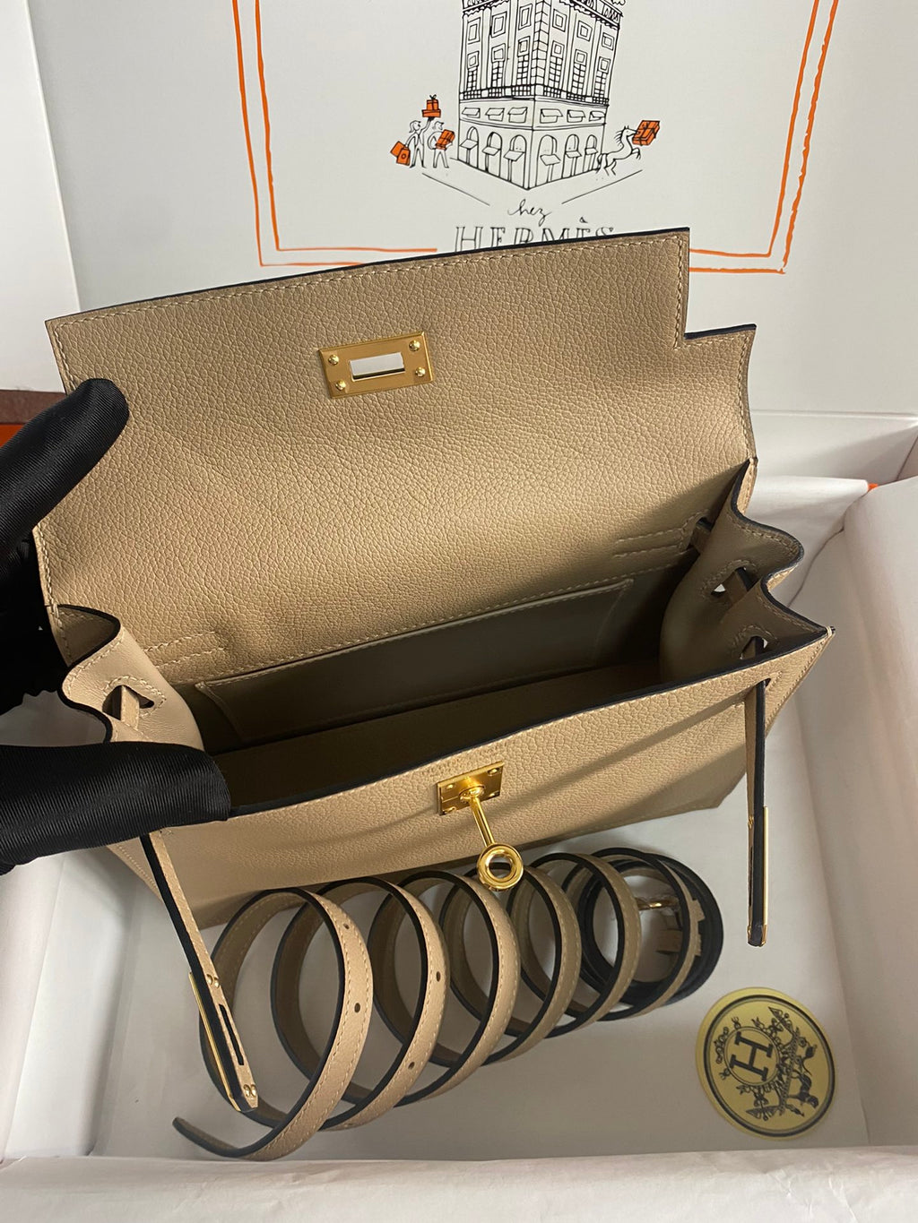 Kelly danse-evercolor