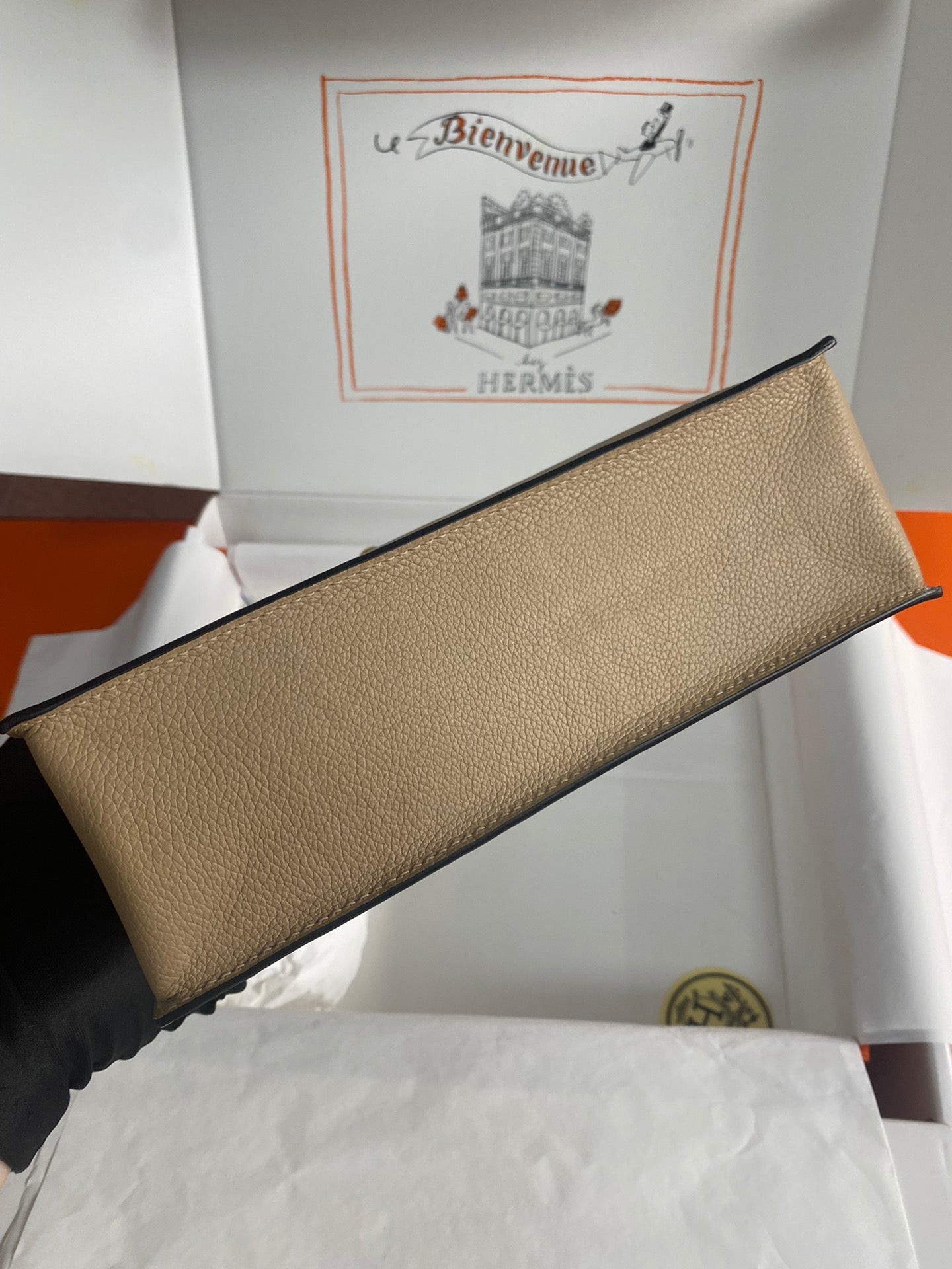 Kelly danse-evercolor