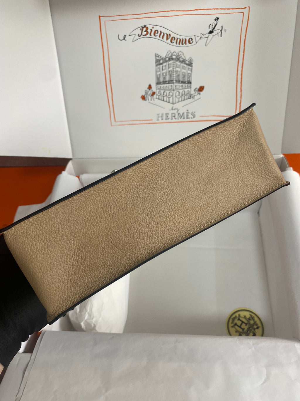 Kelly danse-evercolor