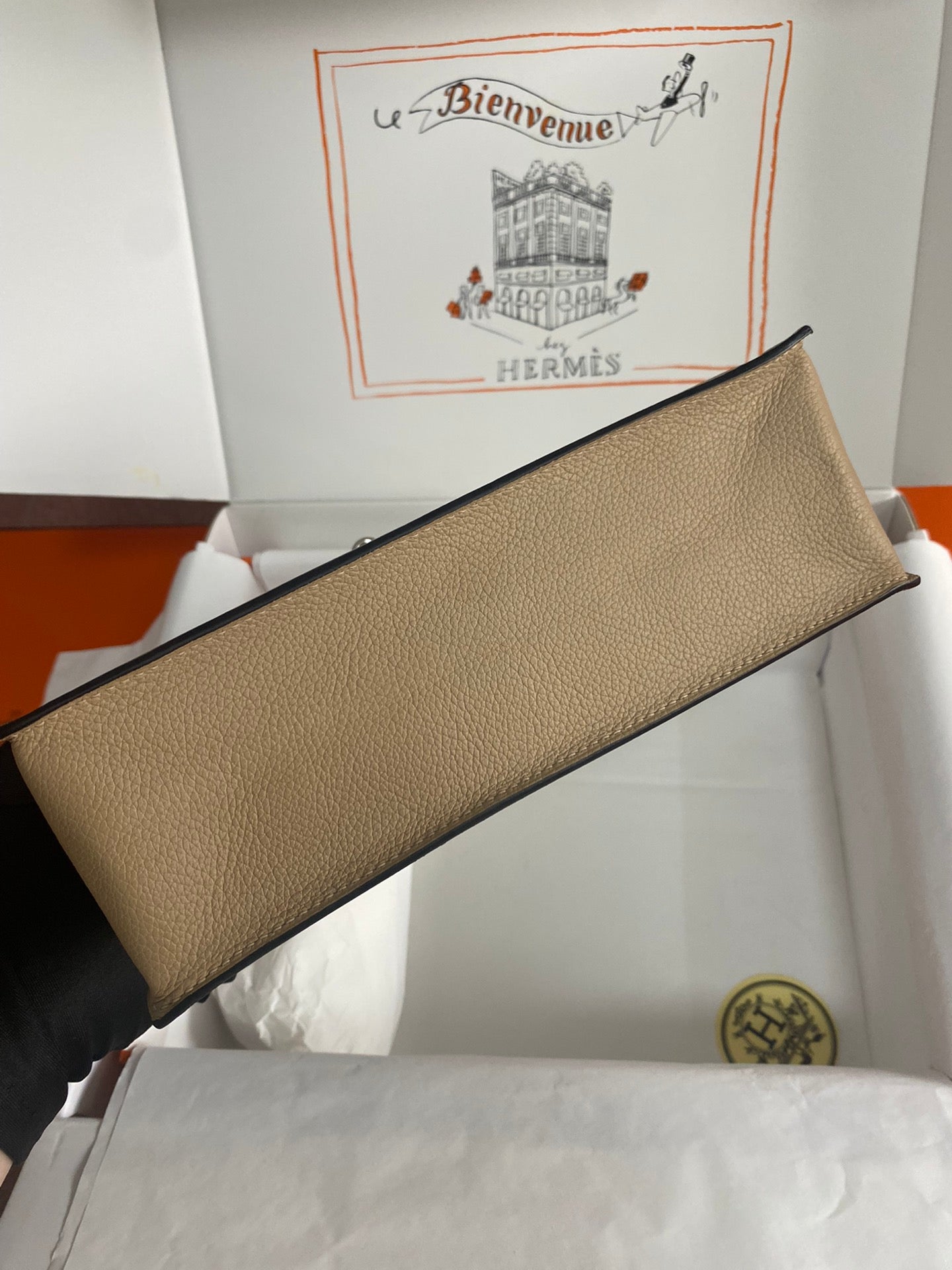 Kelly danse-evercolor