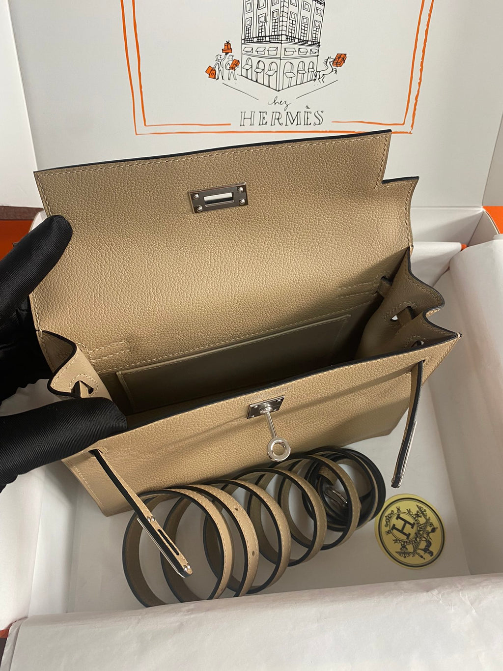 Kelly danse-evercolor