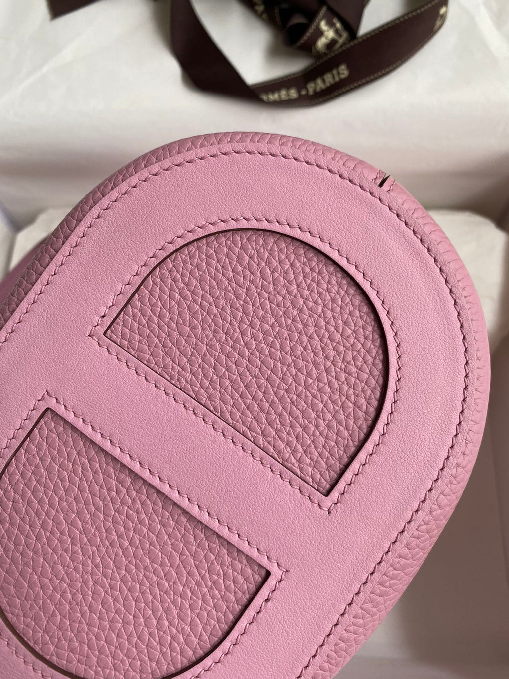 loop-Taurillon Clemence