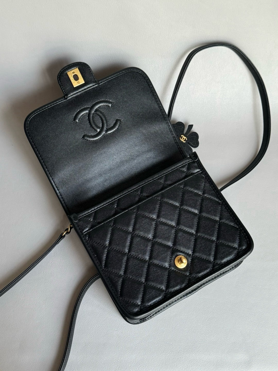 CHANEL-25B Affinity Duma Backpack golden/sliver