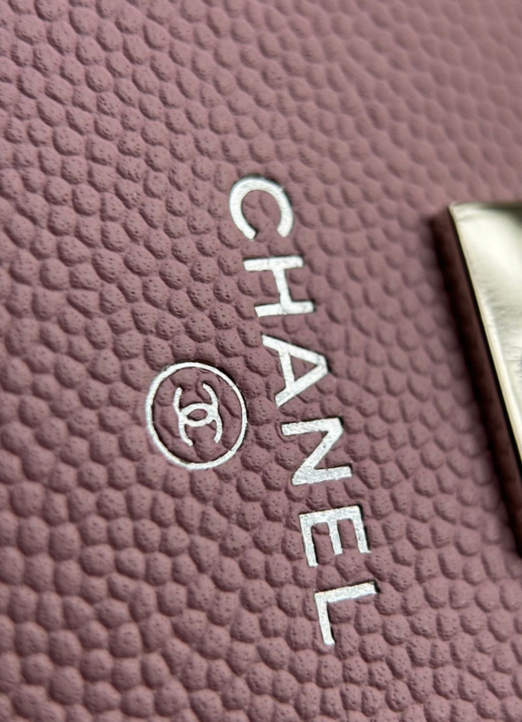 CHANEL-25PFaux Crocodile Wallet golden/sliver