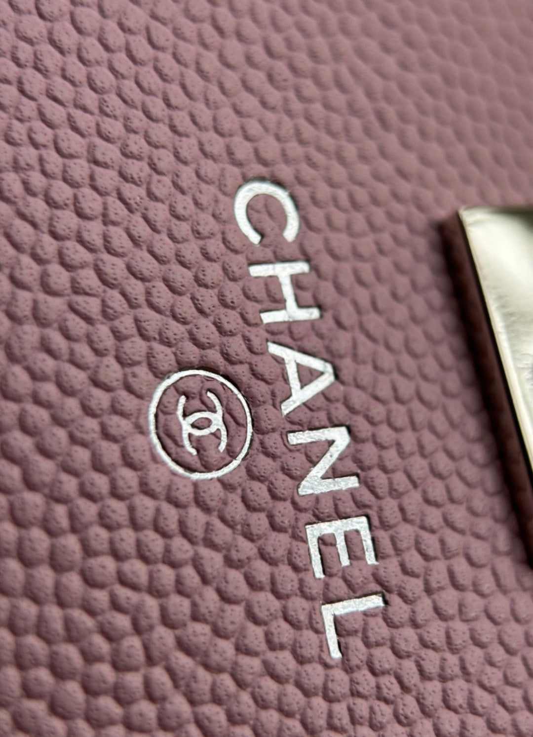 CHANEL-25PFaux Crocodile Wallet golden/sliver