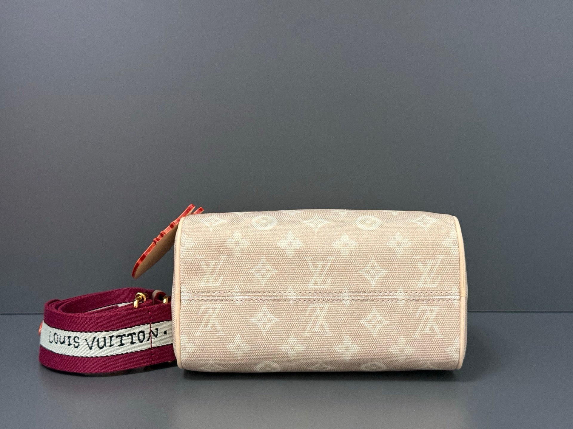 LOUIS VUITTON- Speedy 20 M11640