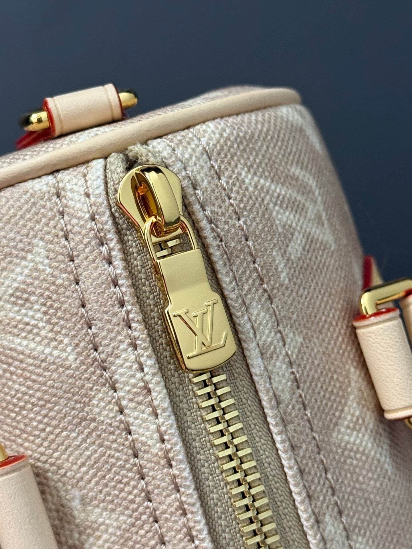 LOUIS VUITTON- Speedy 20 M11640