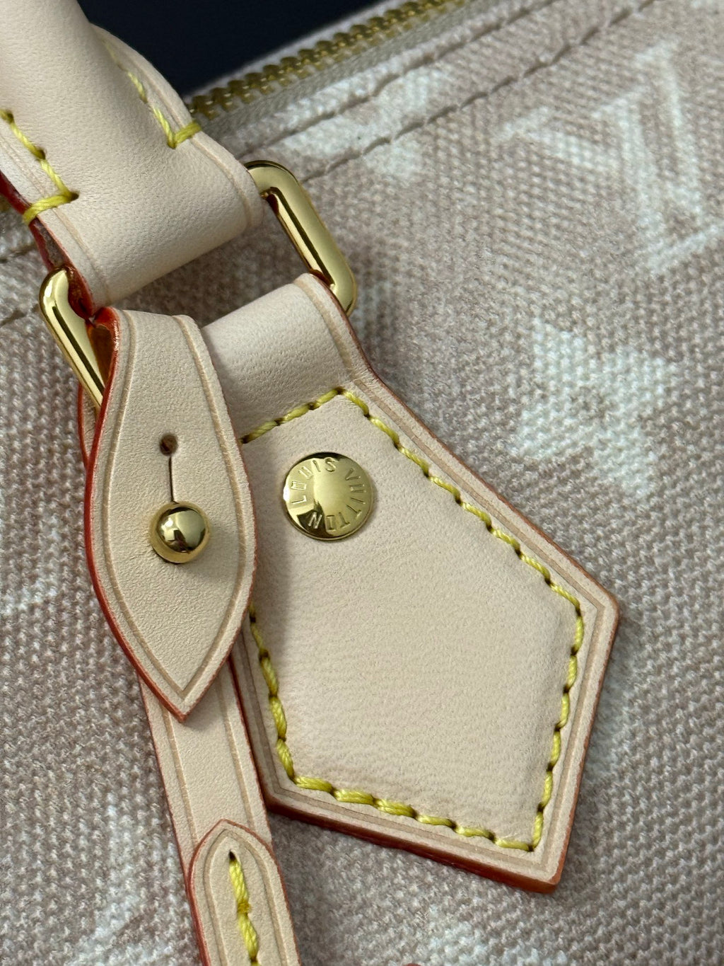 LOUIS VUITTON- Speedy 20 M11640