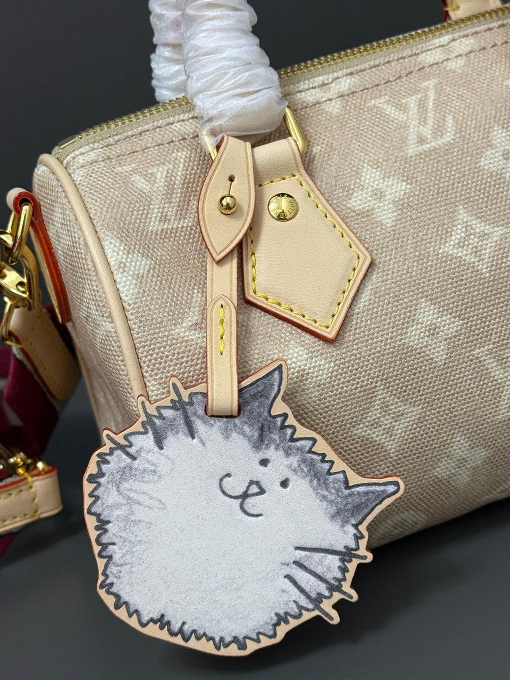 LOUIS VUITTON- Speedy 20 M11640