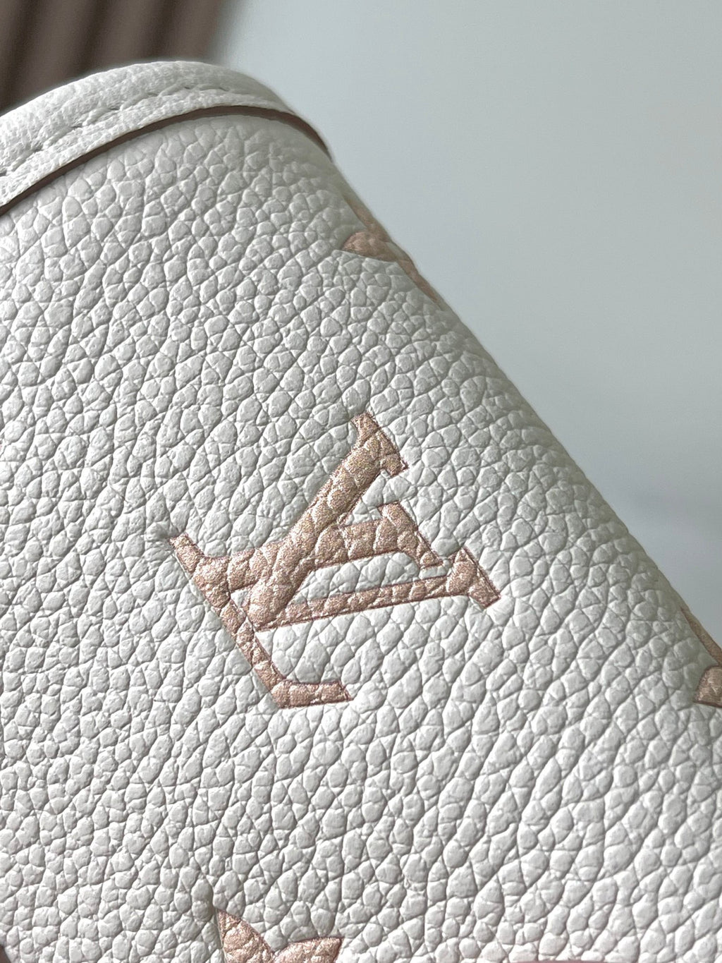 LOUIS VUITTON- LV bag