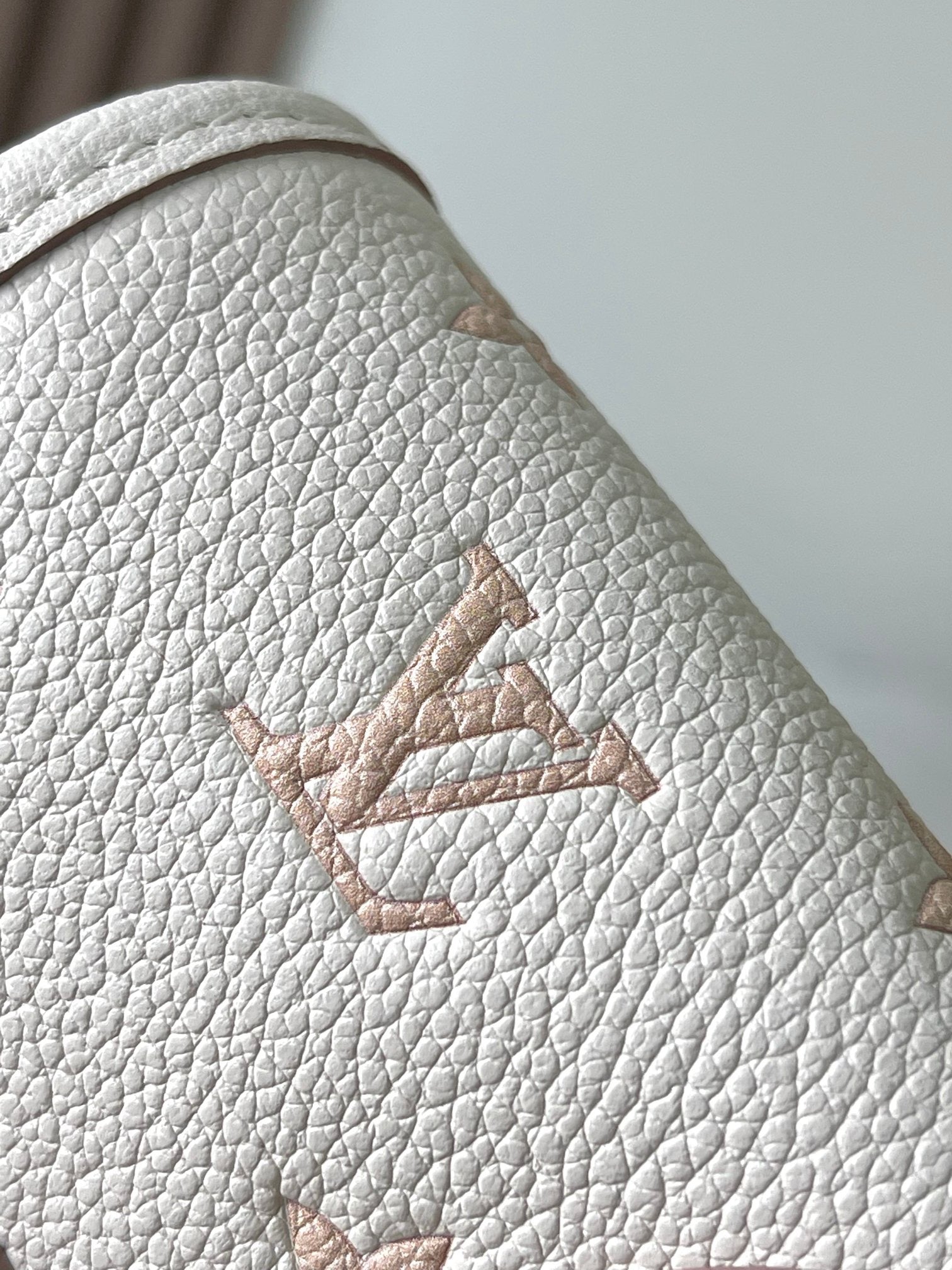 LOUIS VUITTON- LV bag