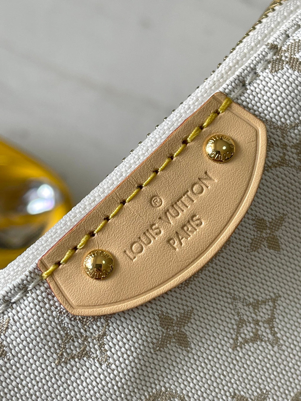 LOUIS VUITTON- LV bag