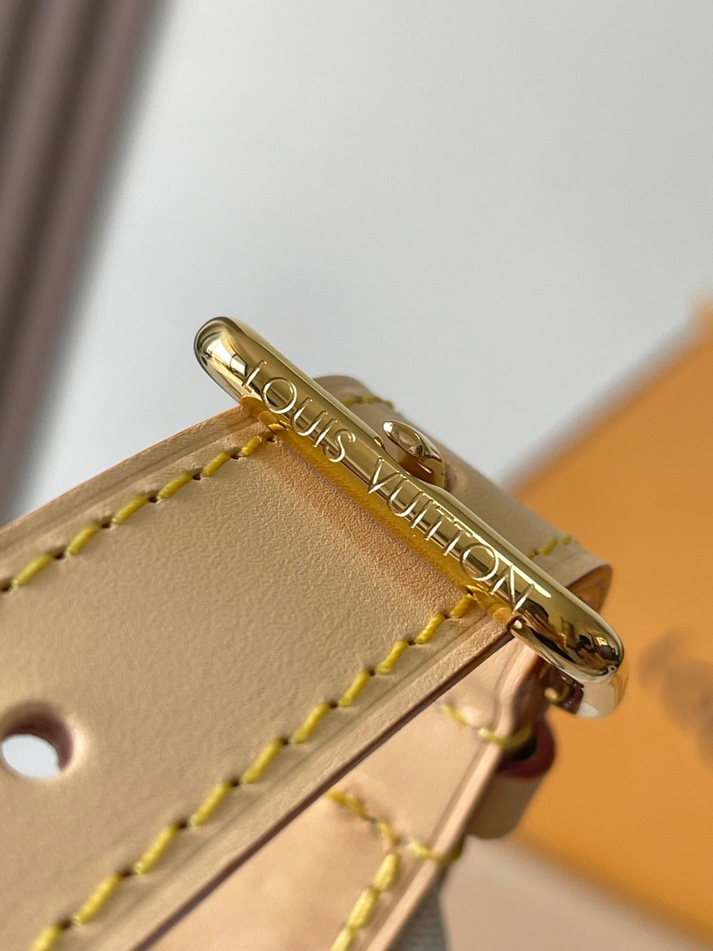 LOUIS VUITTON- LV bag