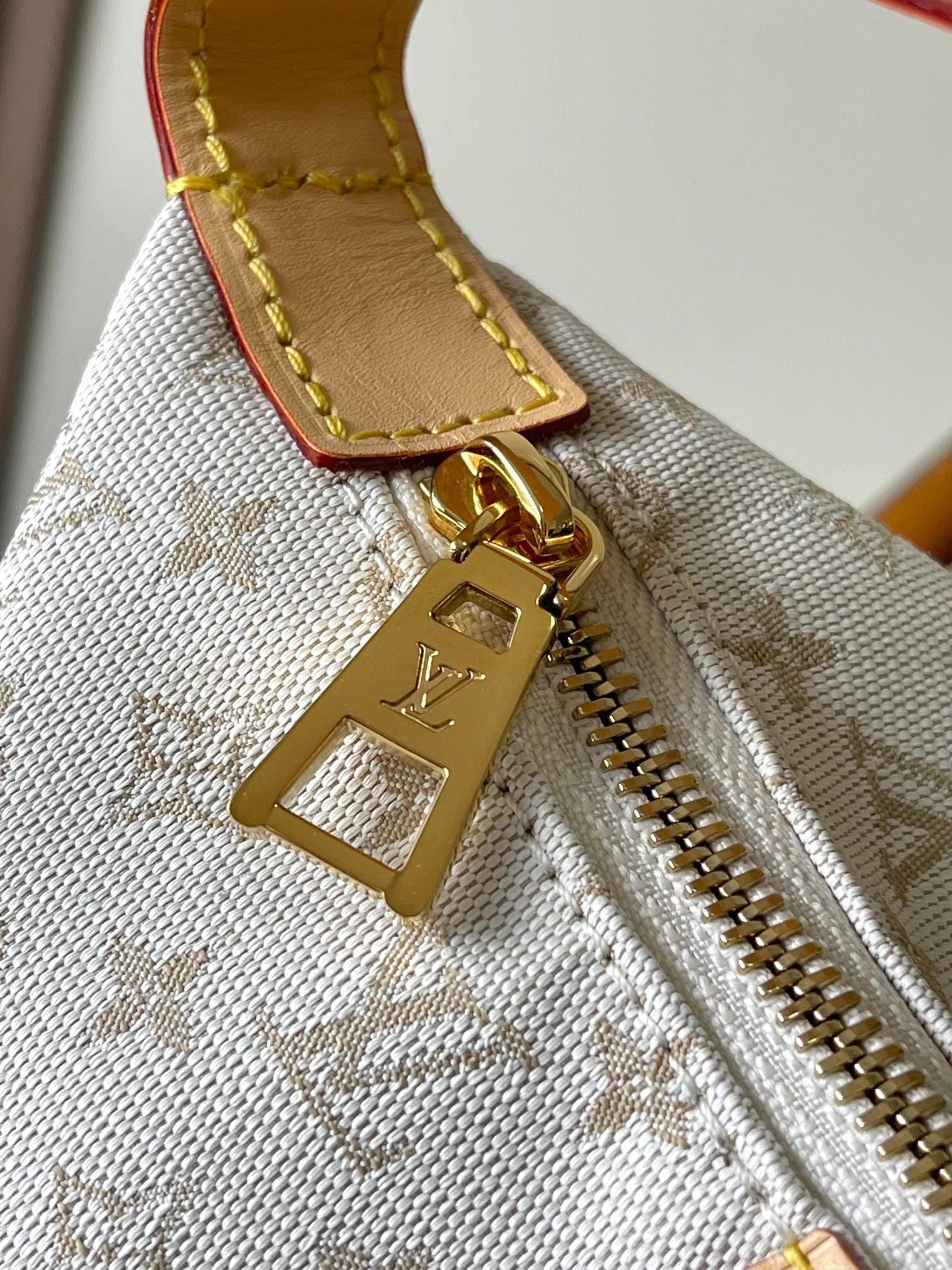 LOUIS VUITTON- LV bag