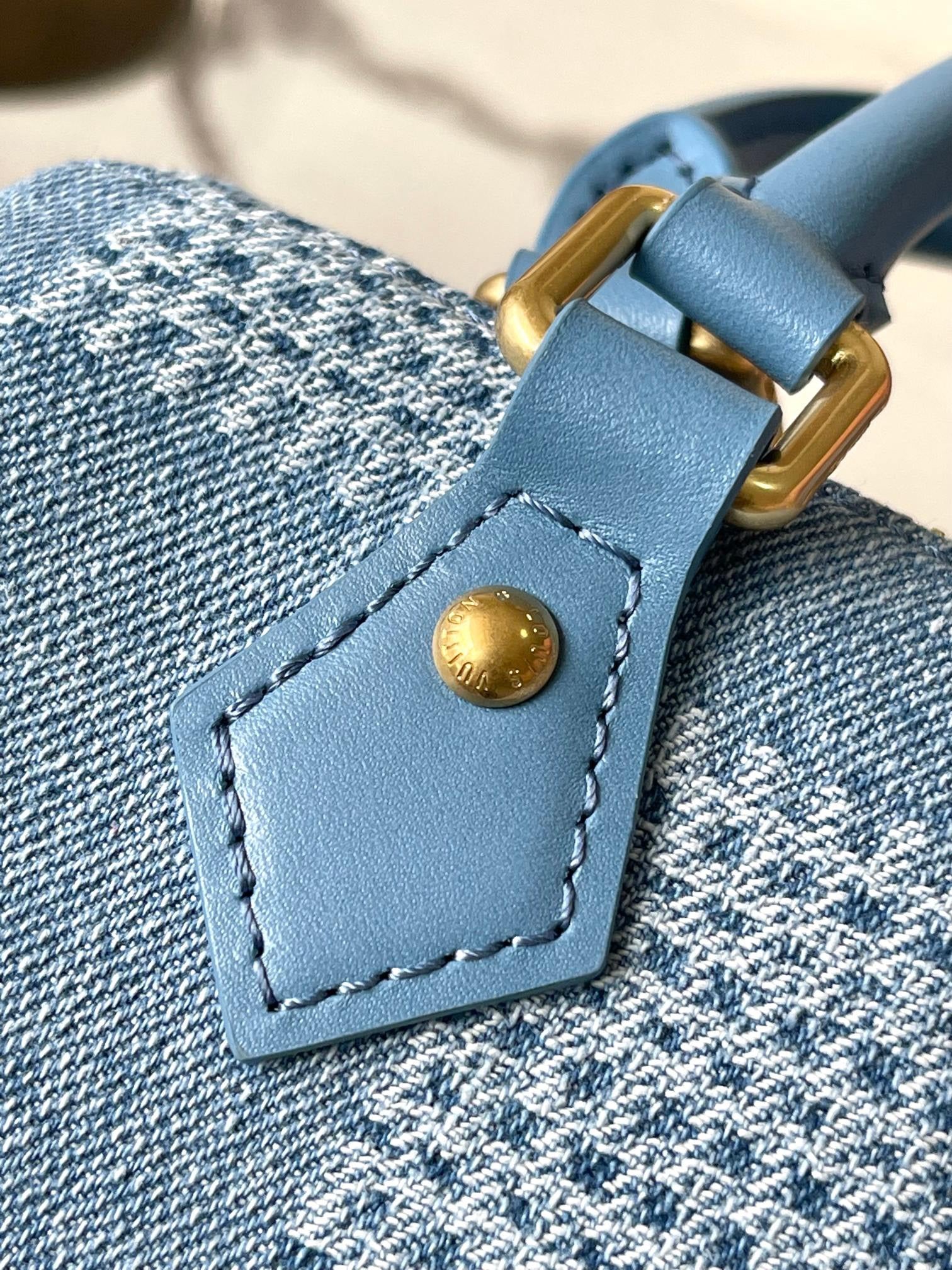 LOUIS VUITTON- LV bag