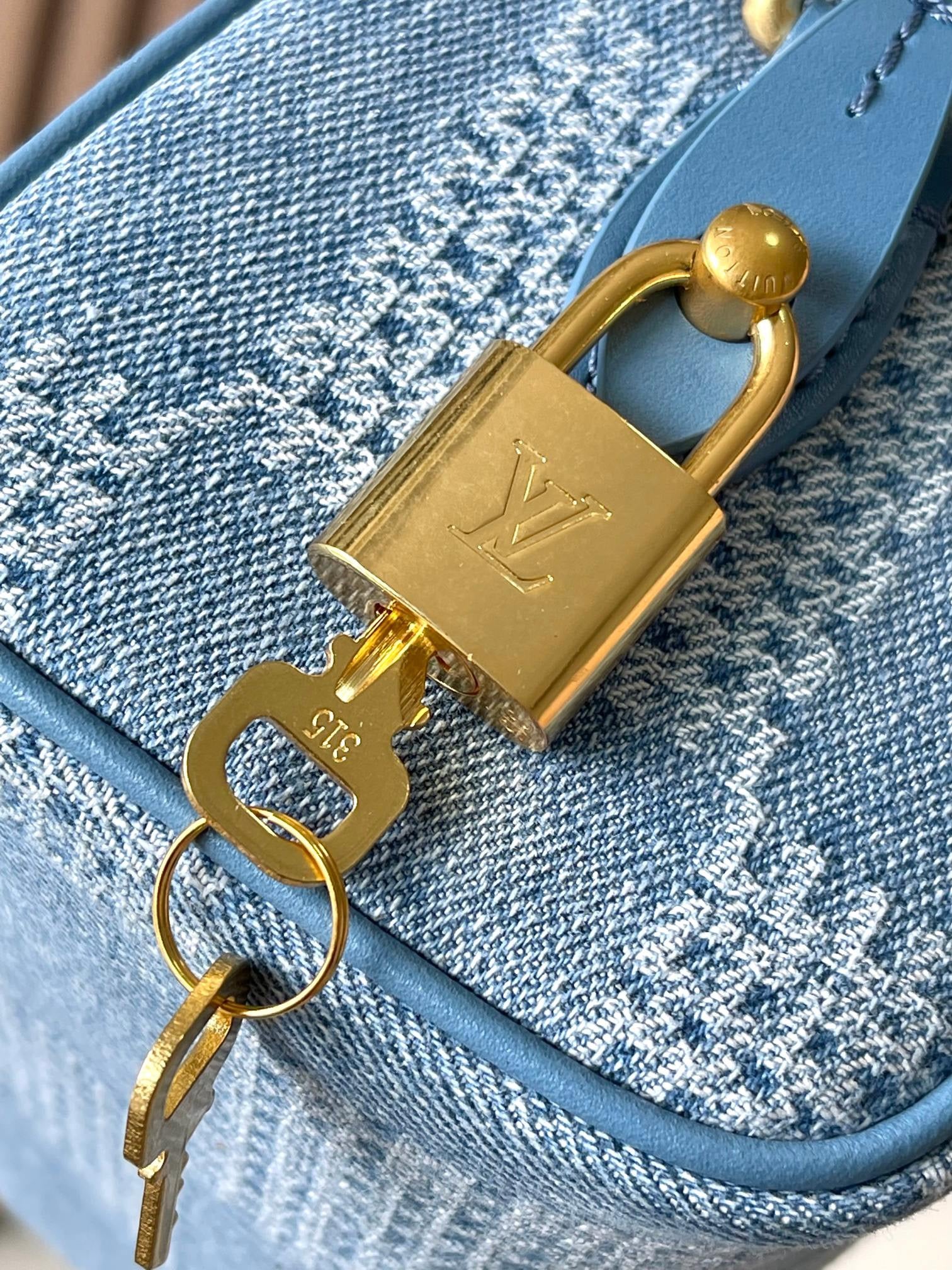 LOUIS VUITTON- LV bag