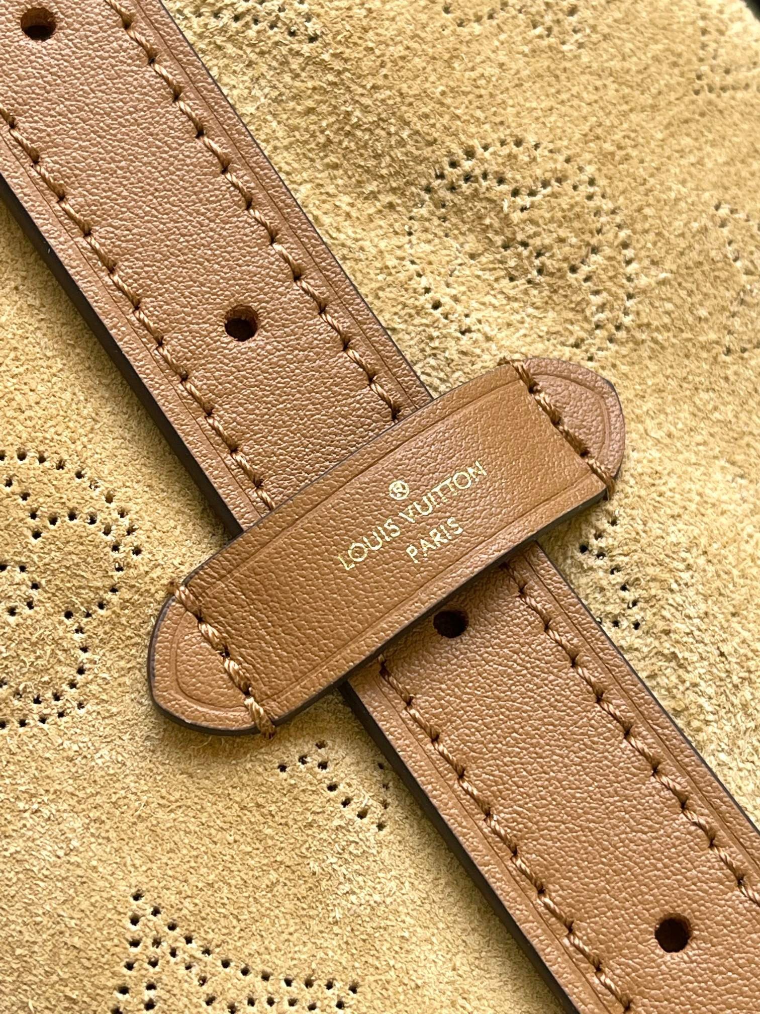 LOUIS VUITTON- LV bag