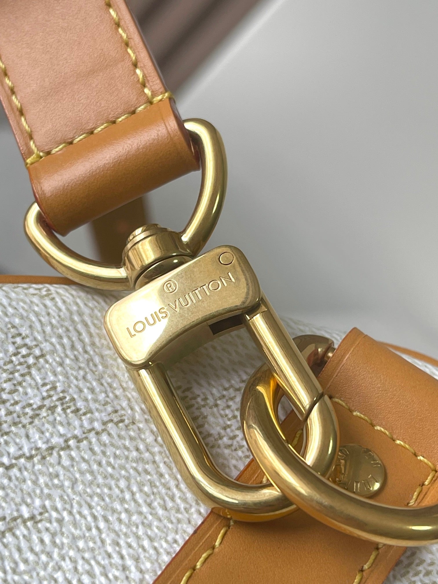 LOUIS VUITTON- LV bag