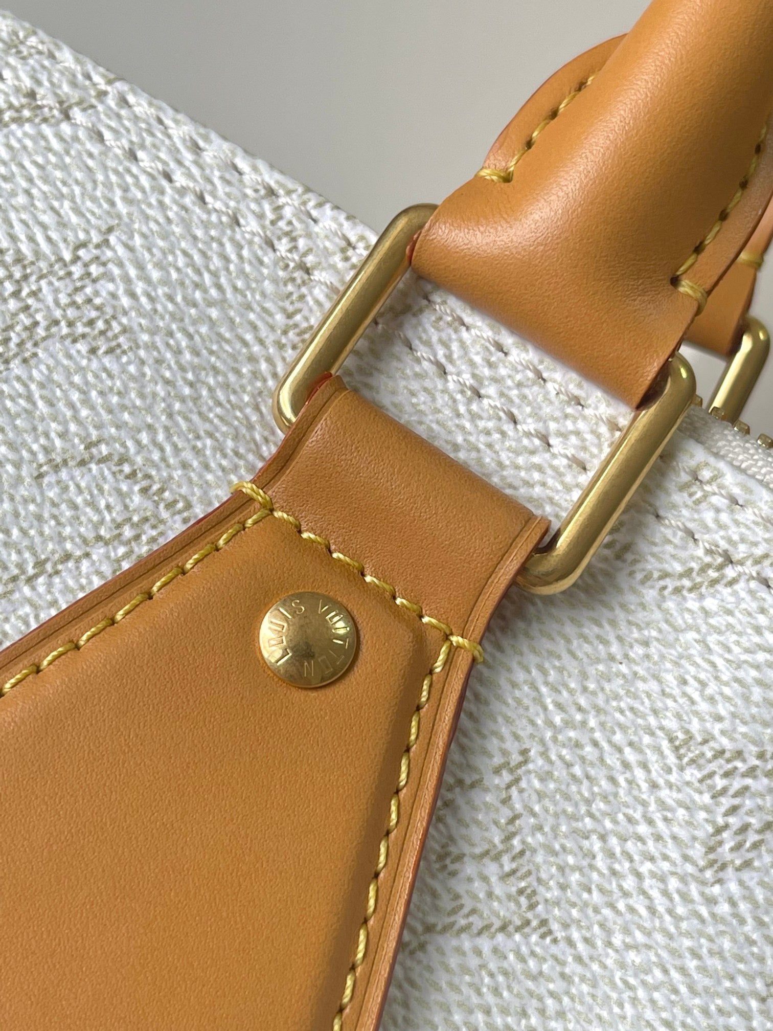 LOUIS VUITTON- LV bag