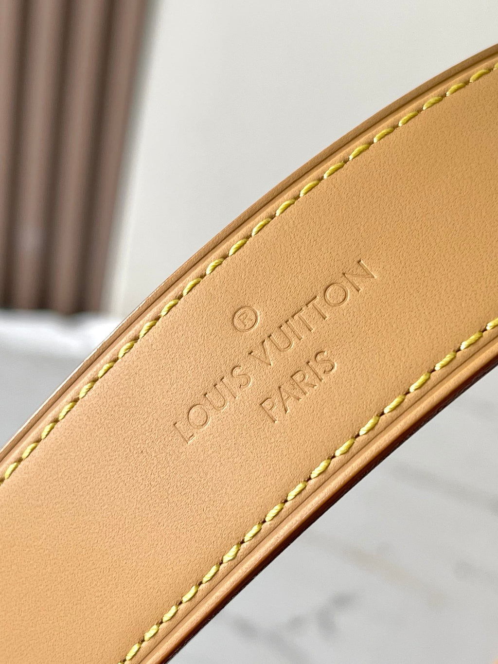 LOUIS VUITTON- LV bag