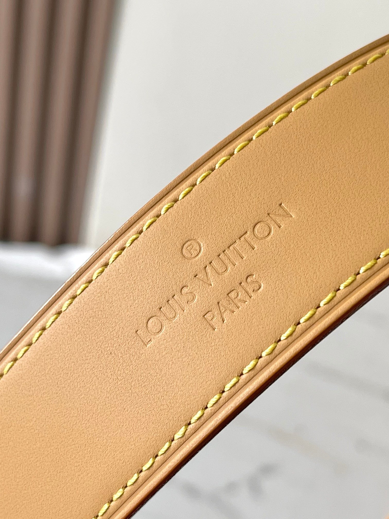 LOUIS VUITTON- LV bag