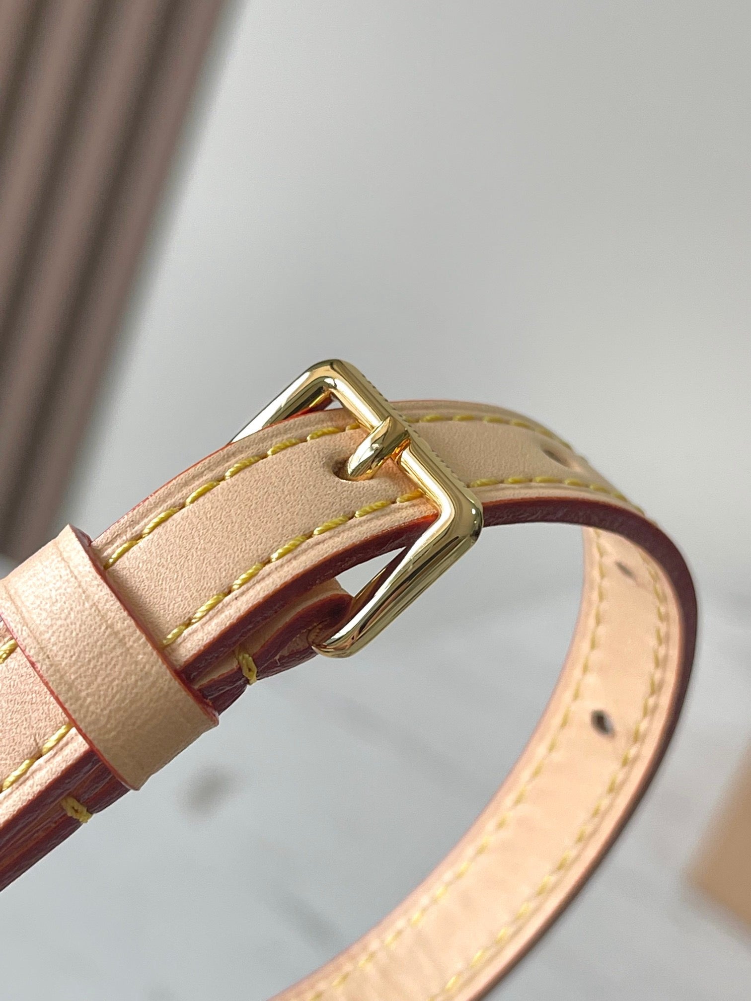 LOUIS VUITTON- LV bag