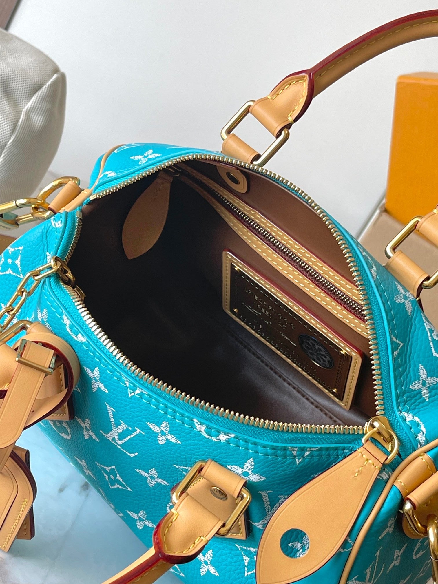 LOUIS VUITTON- LV bag