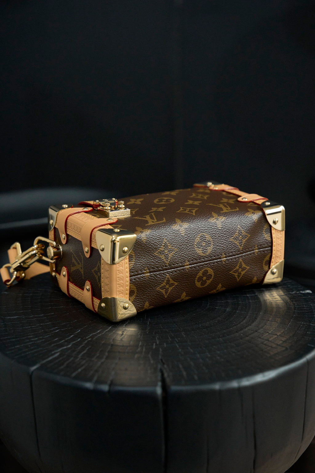 LOUIS VUITTON- LV bag