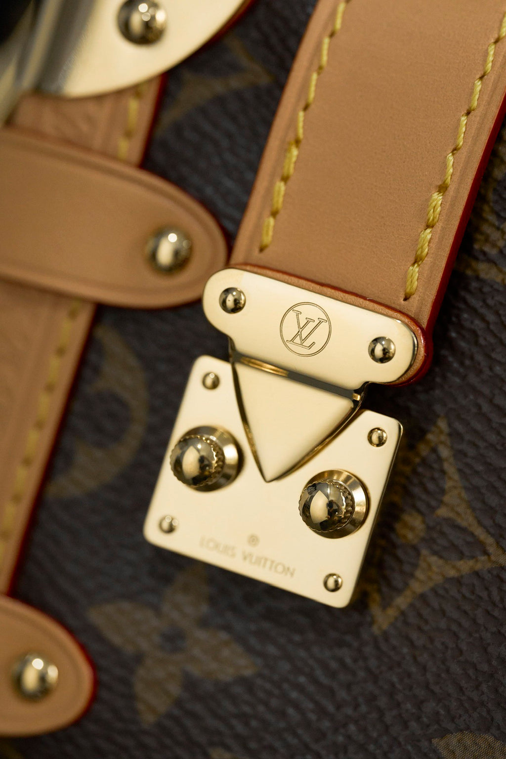 LOUIS VUITTON- LV bag