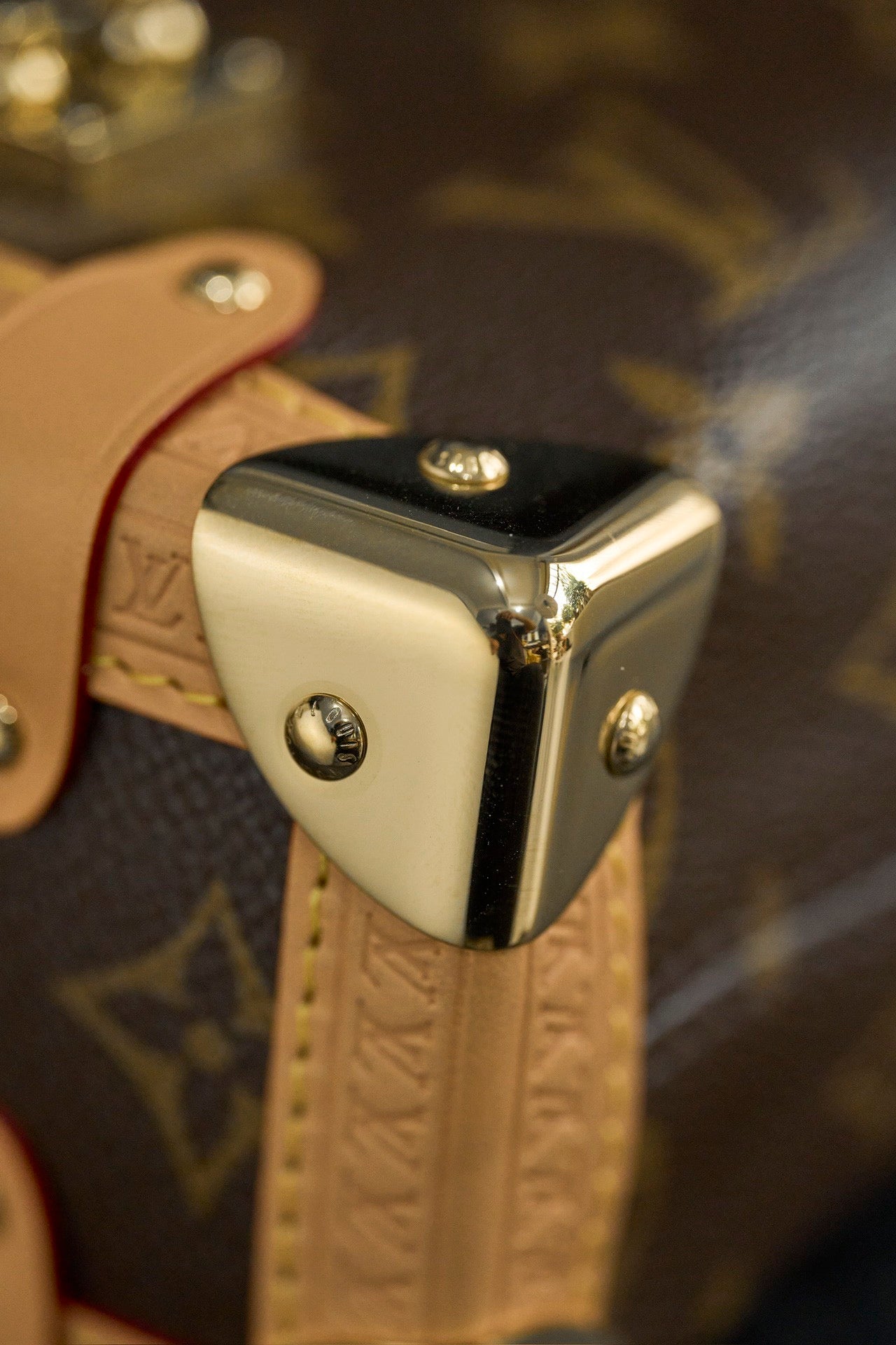 LOUIS VUITTON- LV bag