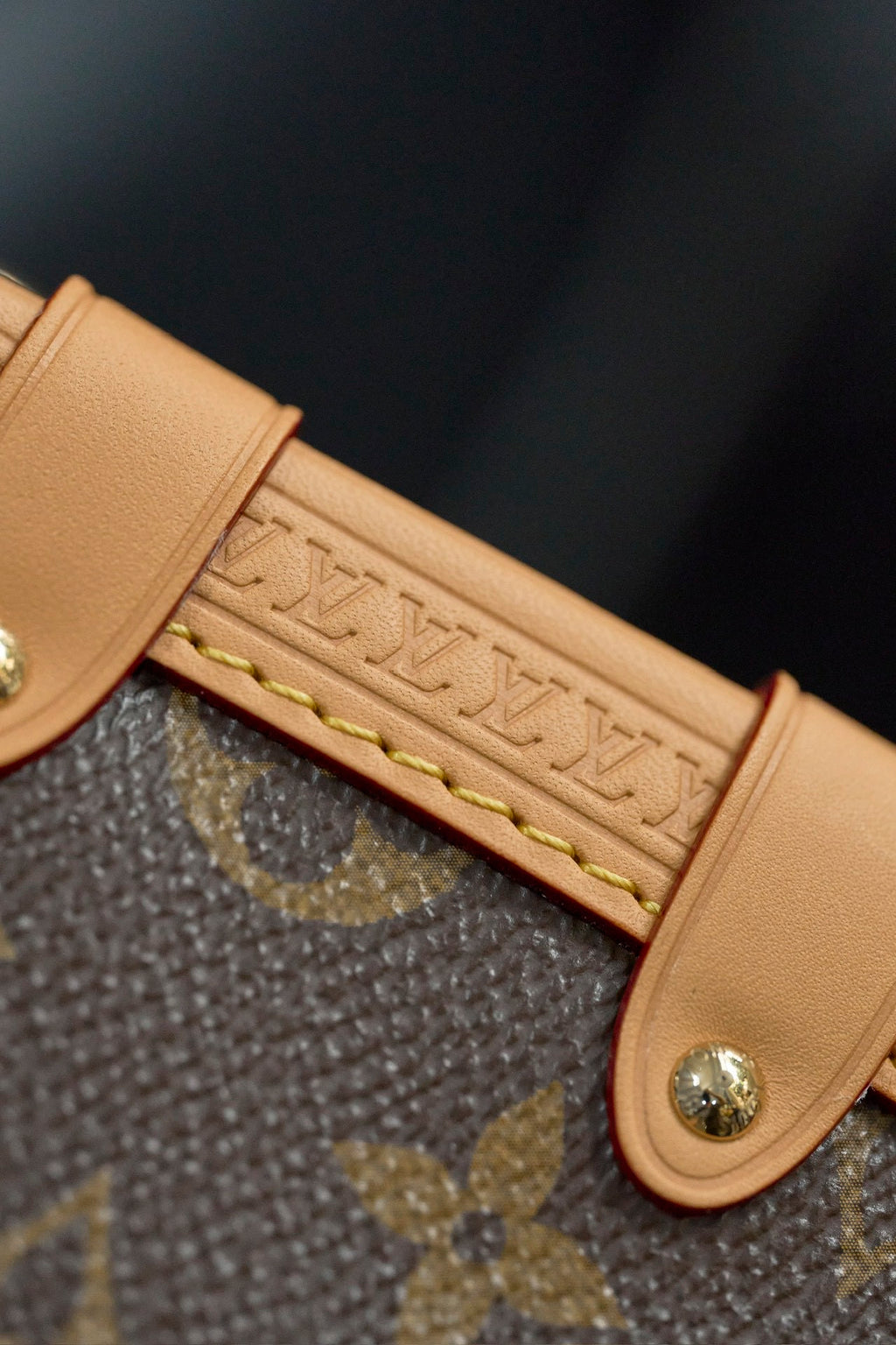 LOUIS VUITTON- LV bag