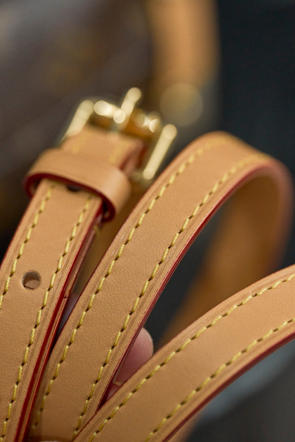 LOUIS VUITTON- LV bag