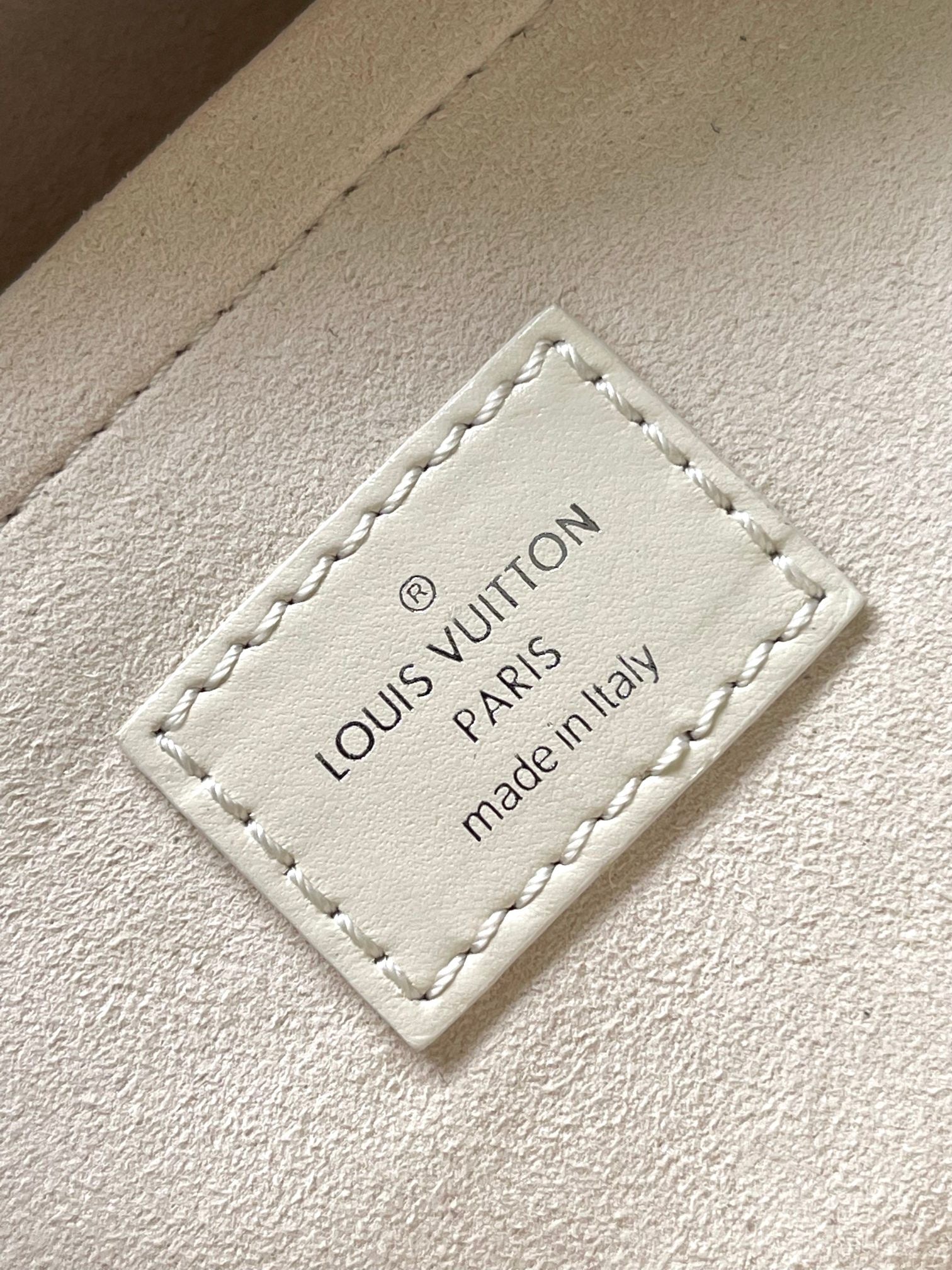 LOUIS VUITTON- LV bag