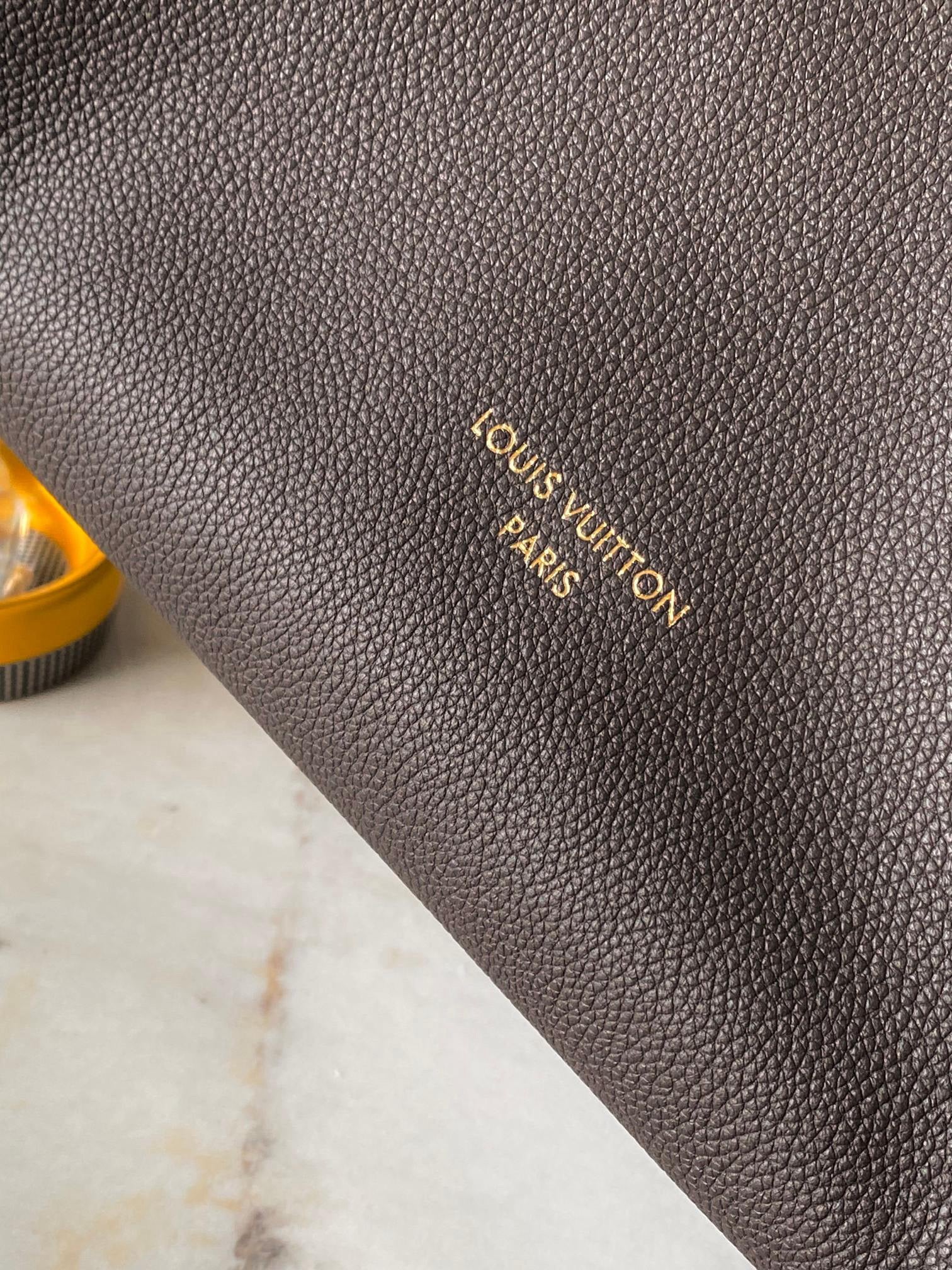 LOUIS VUITTON- LV bag