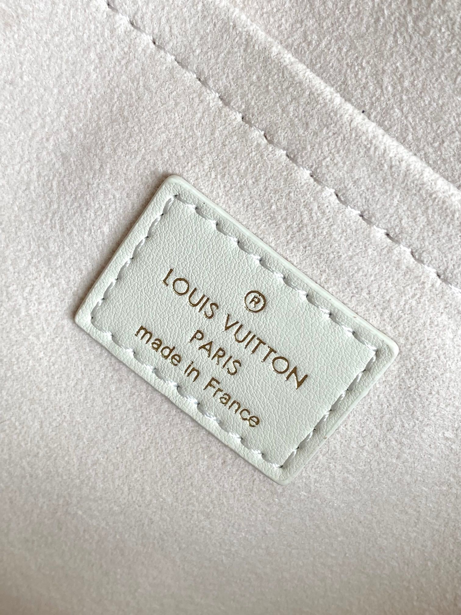 LOUIS VUITTON- LV bag