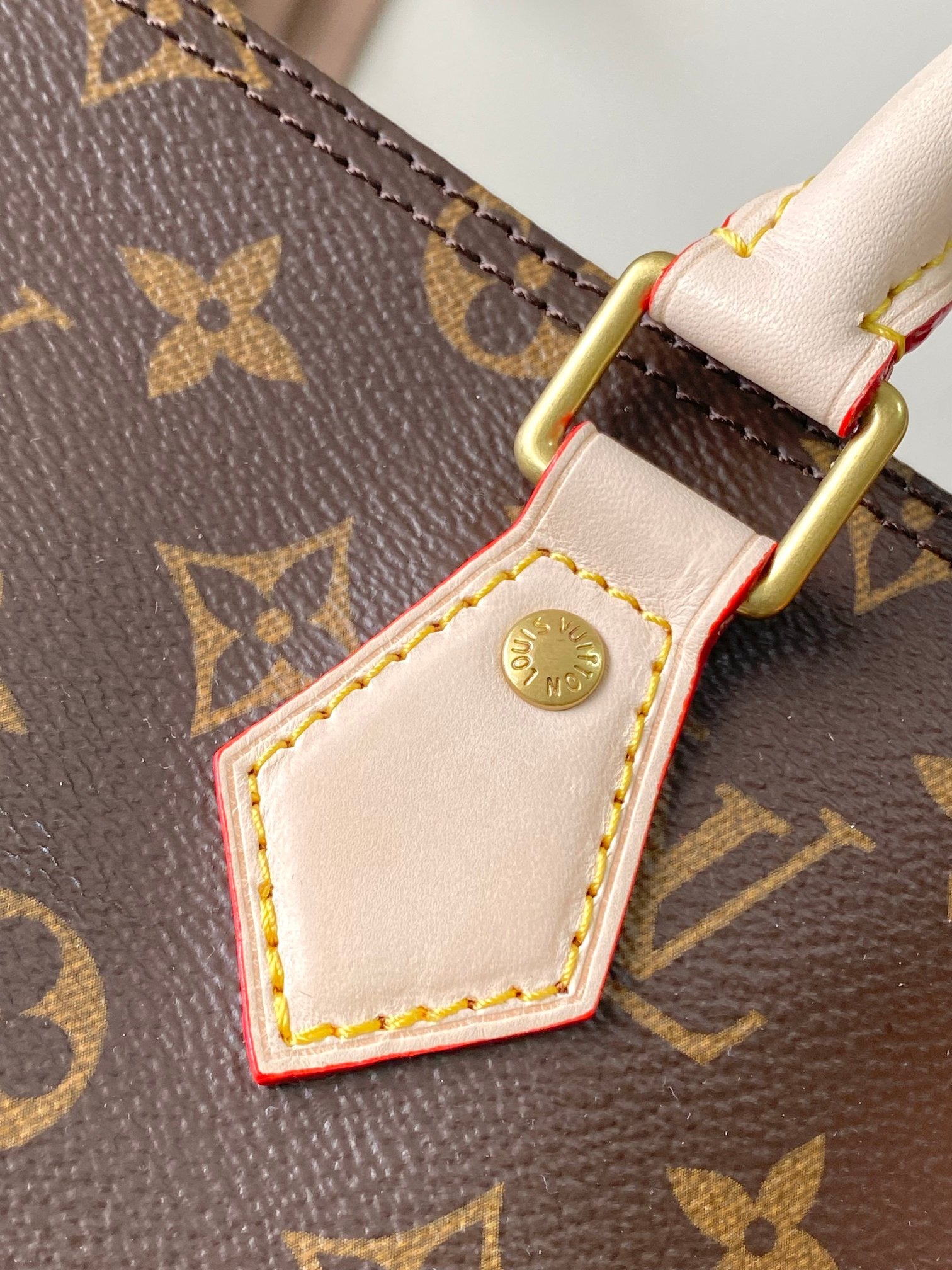 LOUIS VUITTON- LV bag