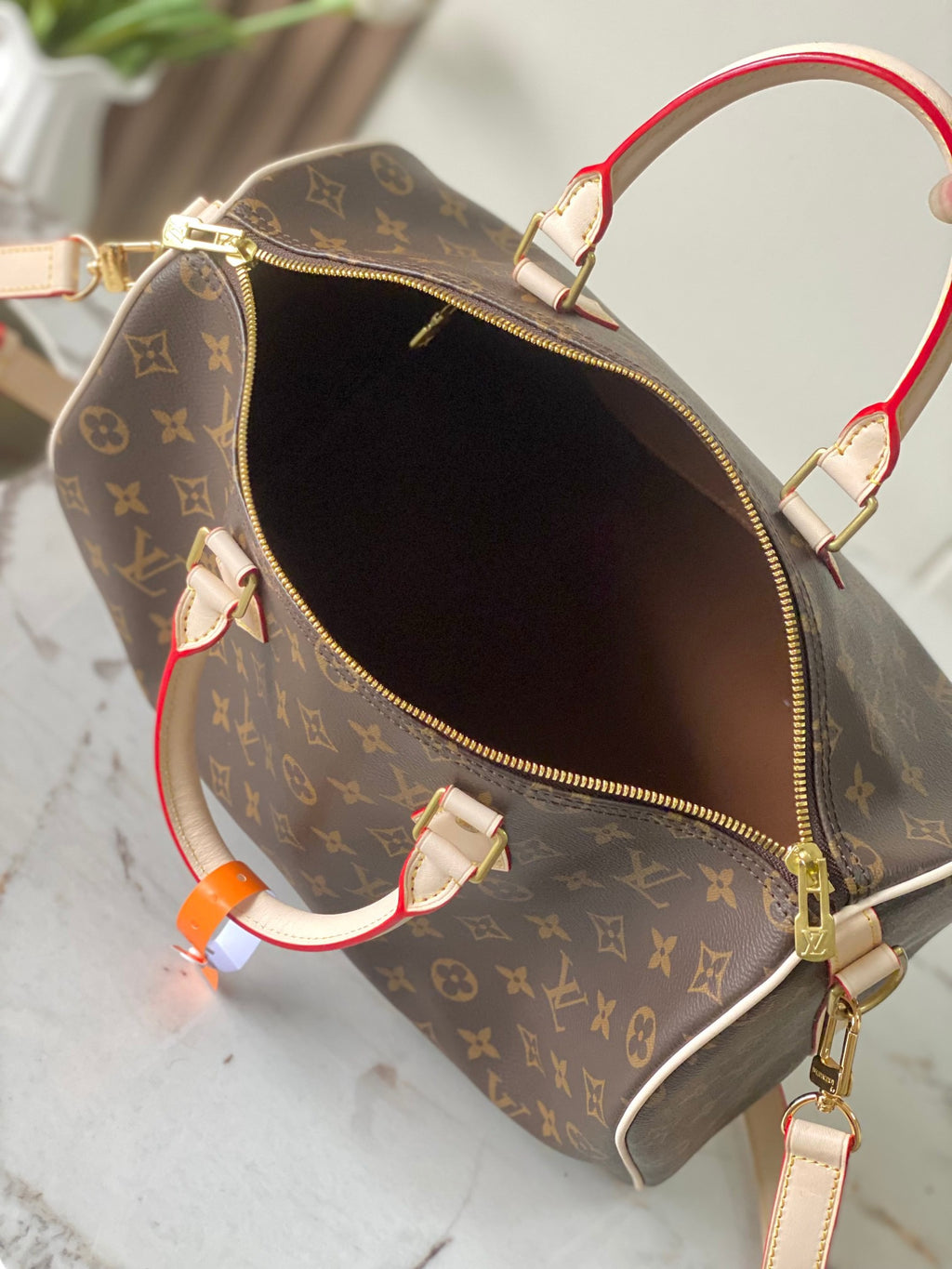 LOUIS VUITTON- LV bag