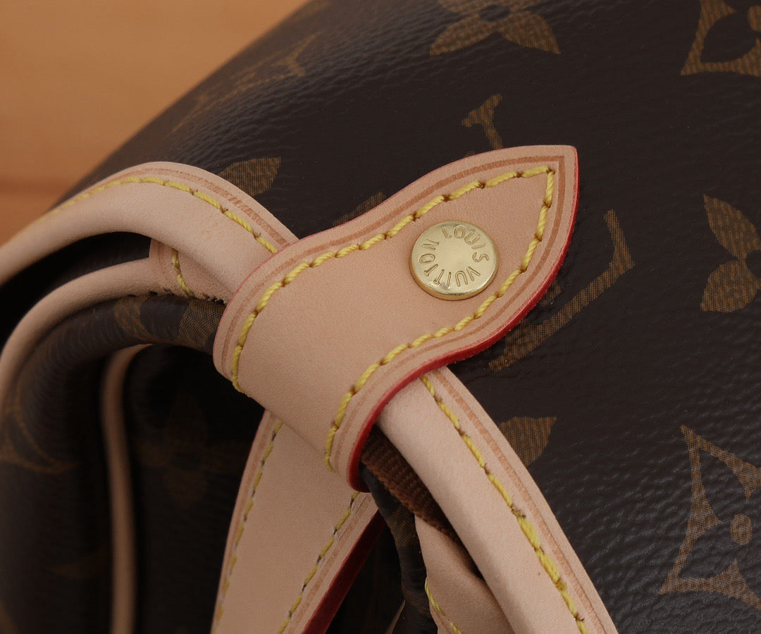 LOUIS VUITTON- LV bag