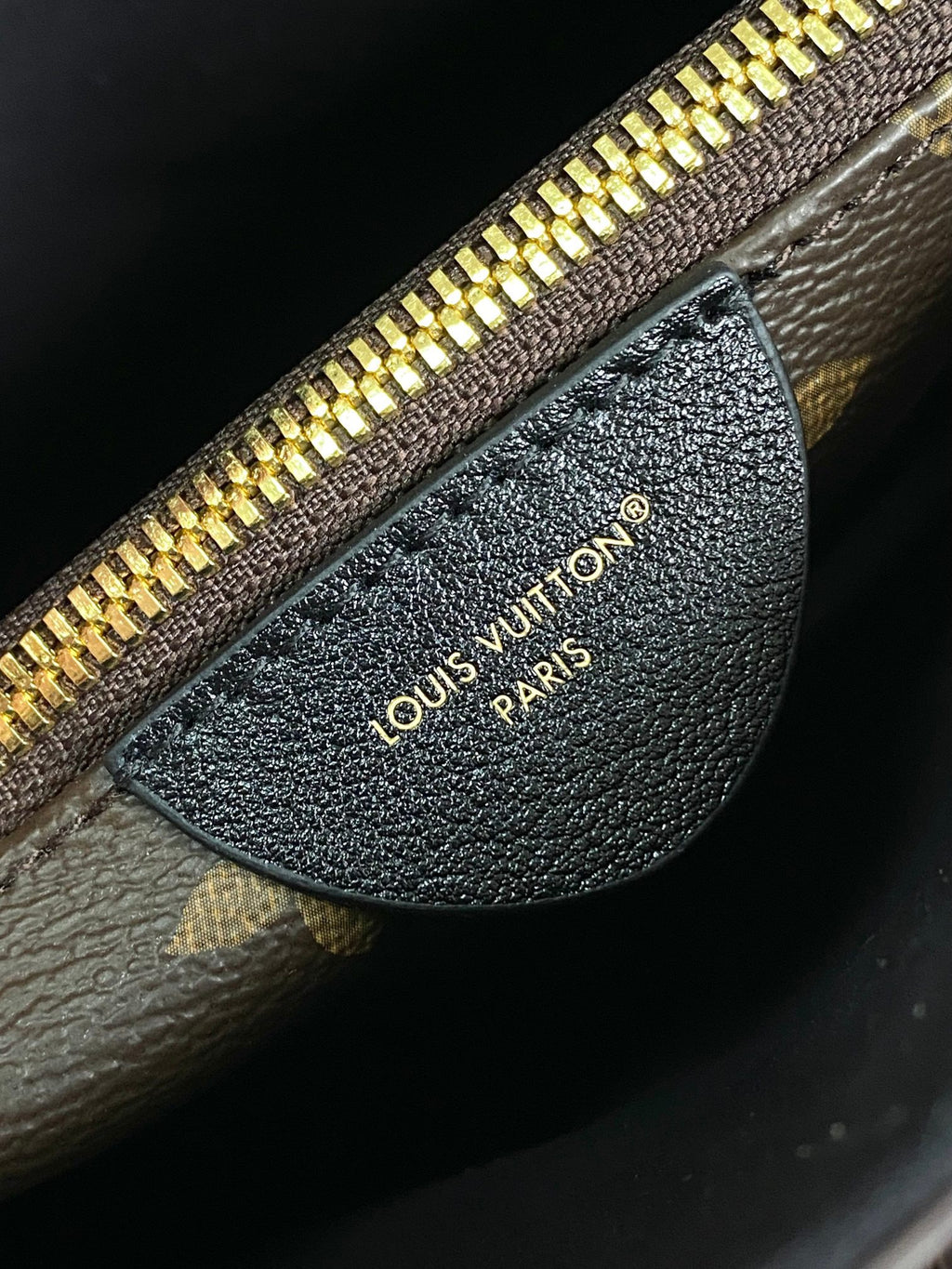 LOUIS VUITTON- LV bag