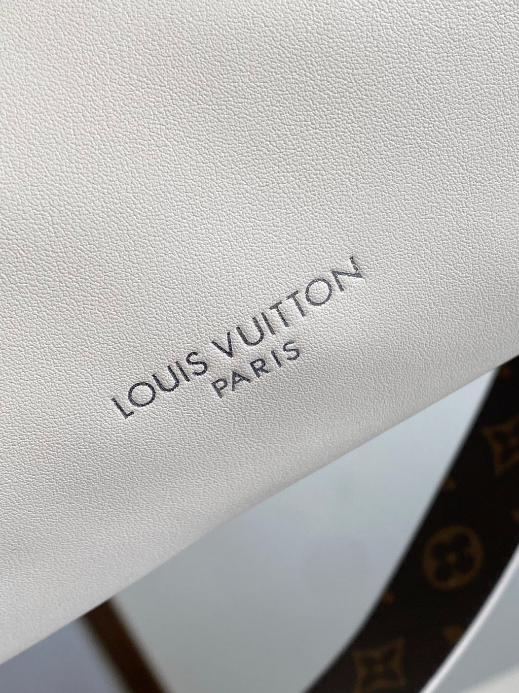 LOUIS VUITTON- LV bag