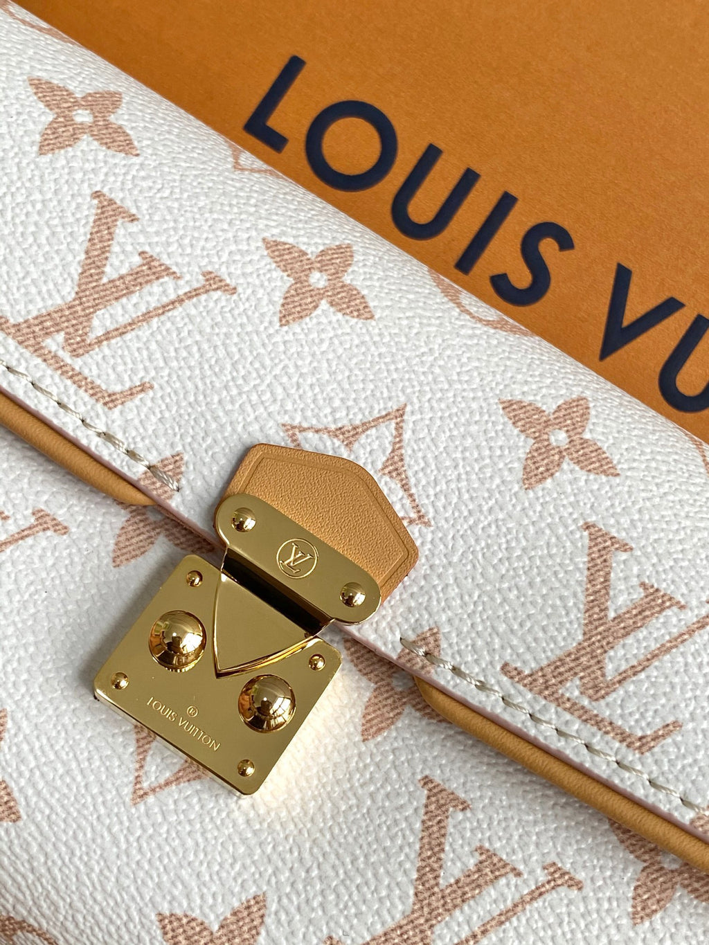 LOUIS VUITTON- LV bag