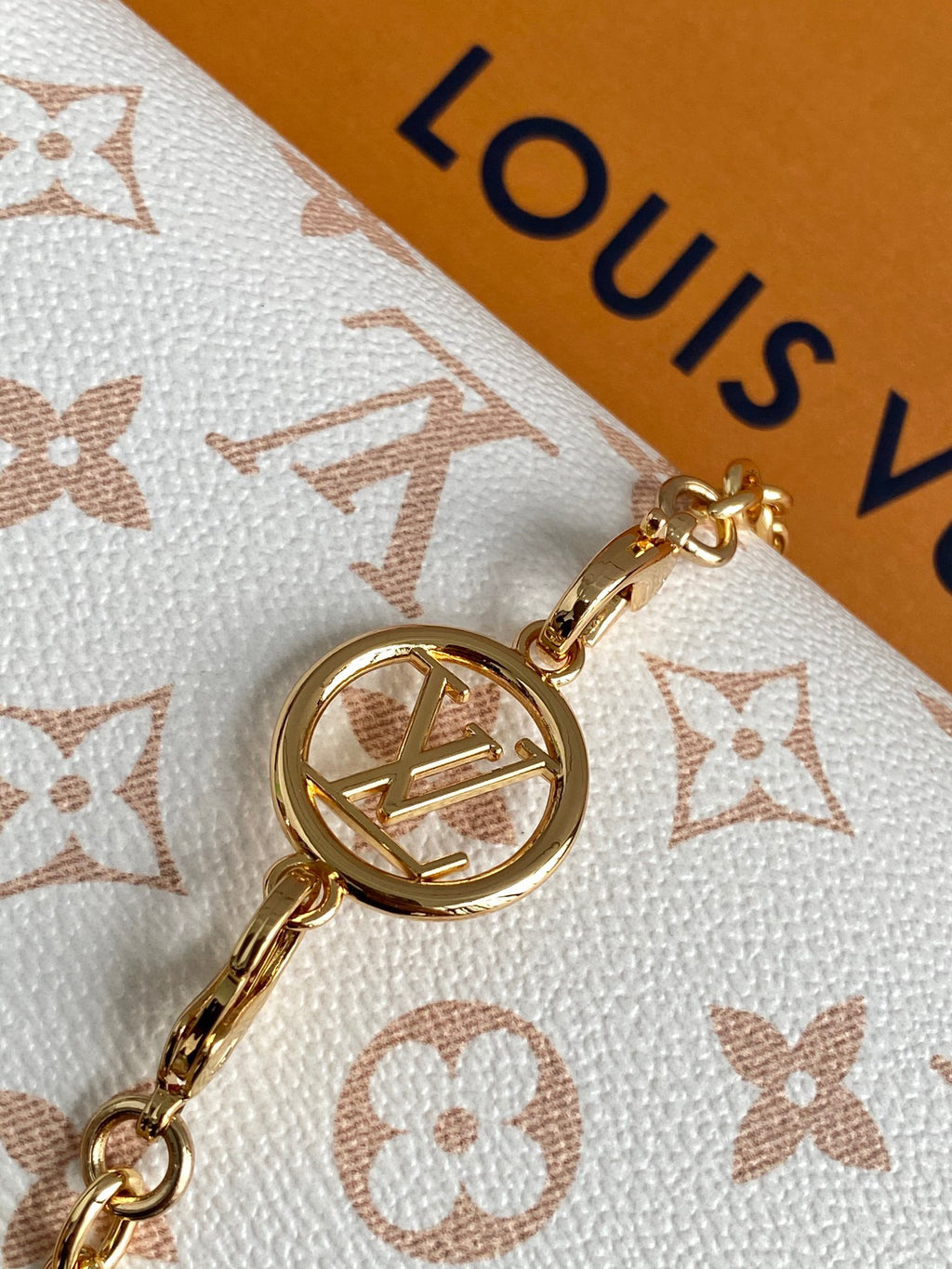 LOUIS VUITTON- LV bag