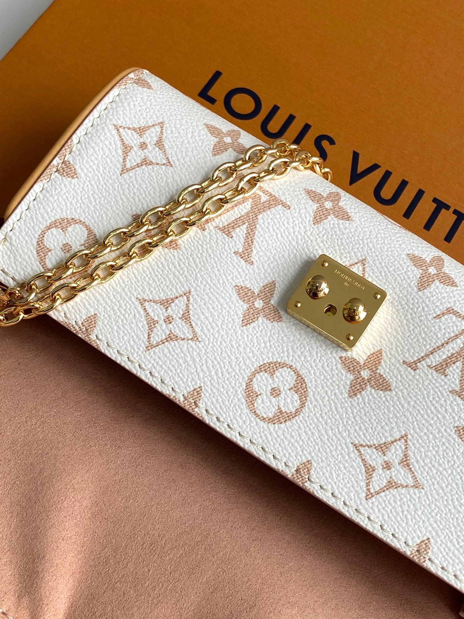 LOUIS VUITTON- LV bag