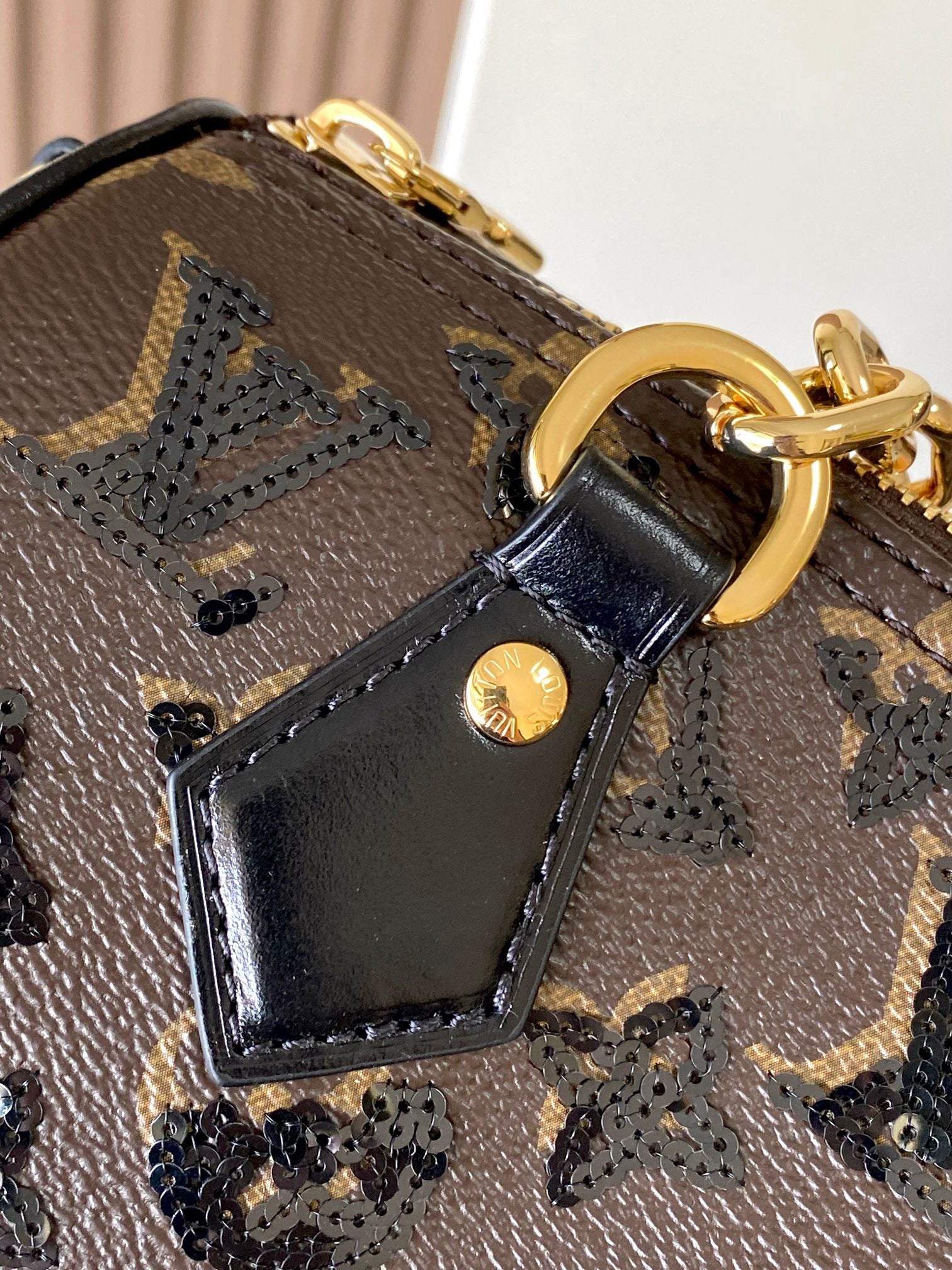 LOUIS VUITTON- LV bag