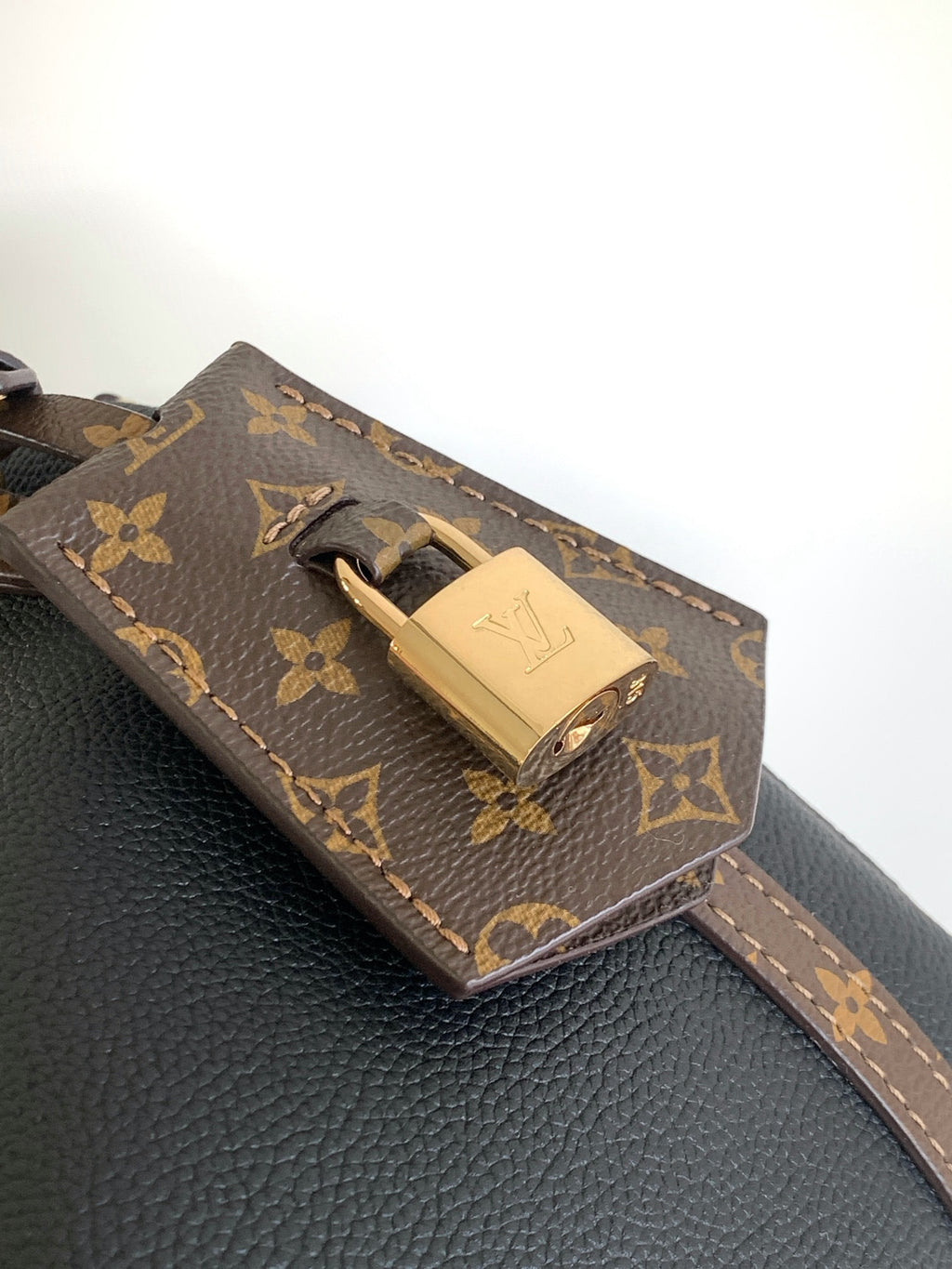 LOUIS VUITTON- LV bag