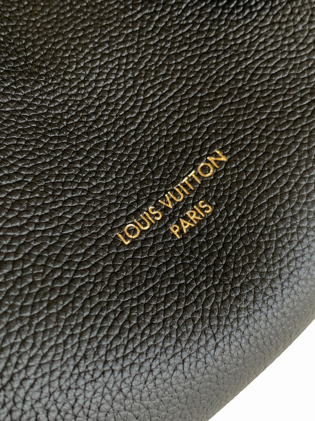 LOUIS VUITTON- LV bag