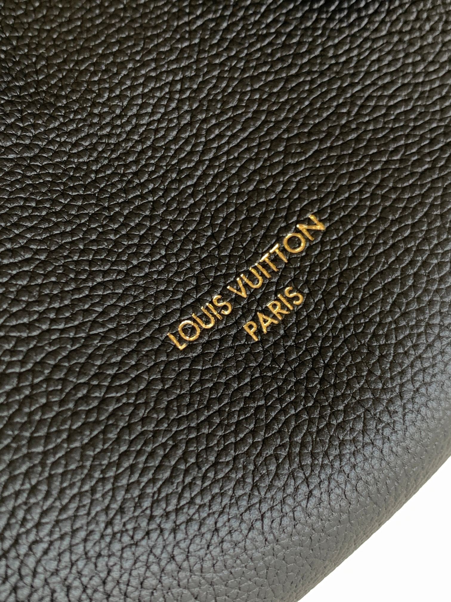 LOUIS VUITTON- LV bag