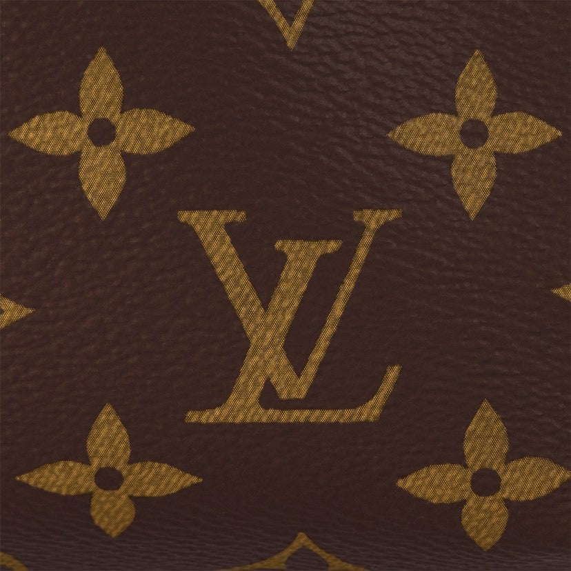 LOUIS VUITTON- LV bag