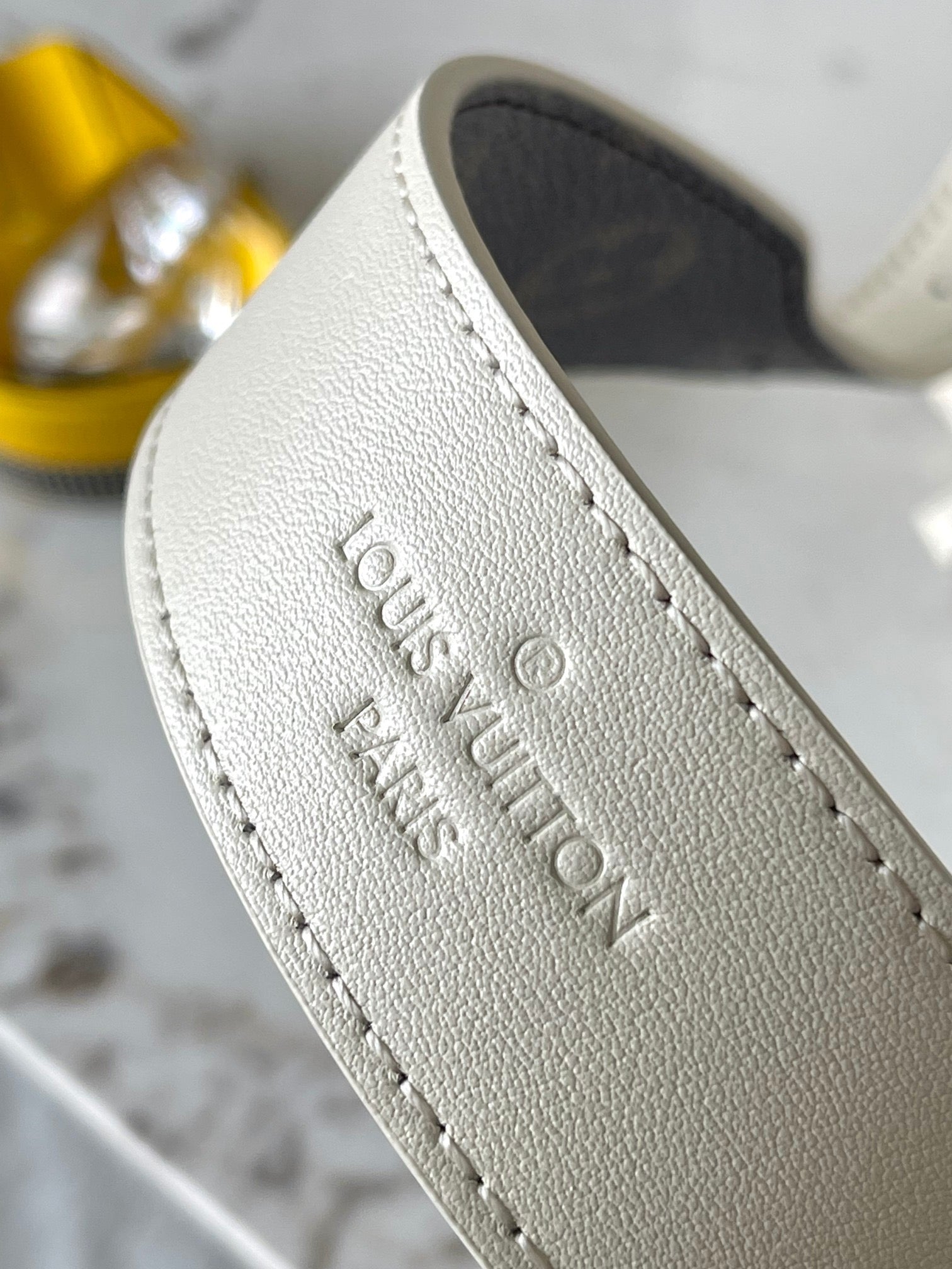 LOUIS VUITTON- LV bag